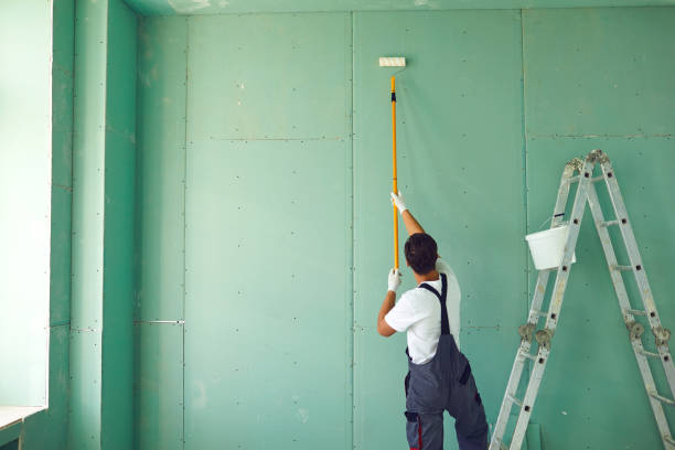 Best Post-Construction Mold Inspection  in Tignall, GA