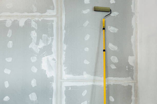 Best Mold Damage Restoration  in Tignall, GA