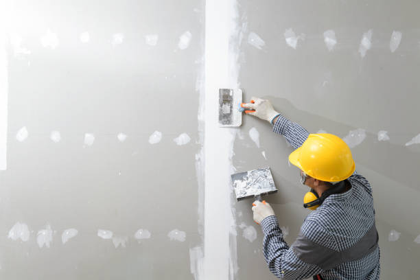  Tignall, GA Mold Removal Pros