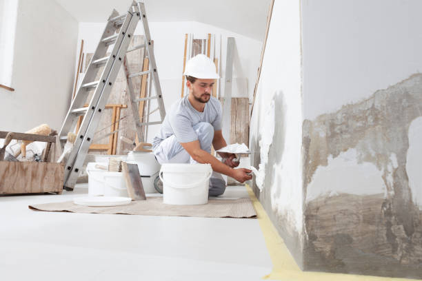 Best Mold Remediation for Healthcare Facilities  in Tignall, GA