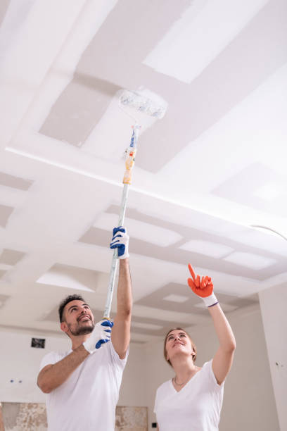 Best Residential Mold Inspection & Testing  in Tignall, GA