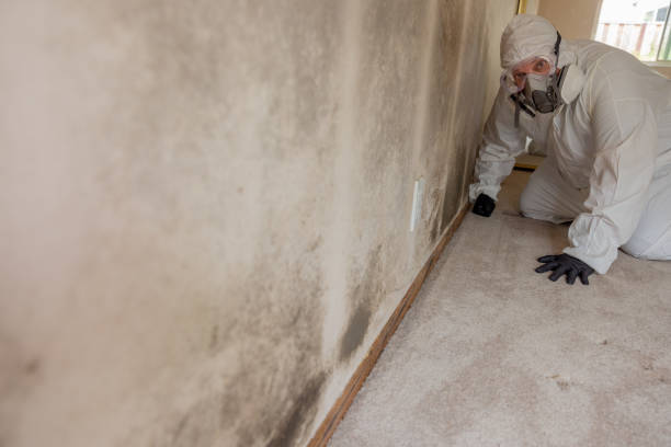 Best Industrial Mold Remediation  in Tignall, GA