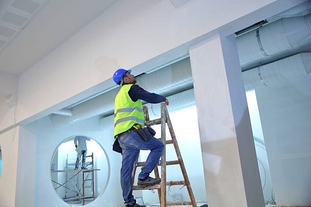 Trusted Tignall, GA Mold Removal Experts